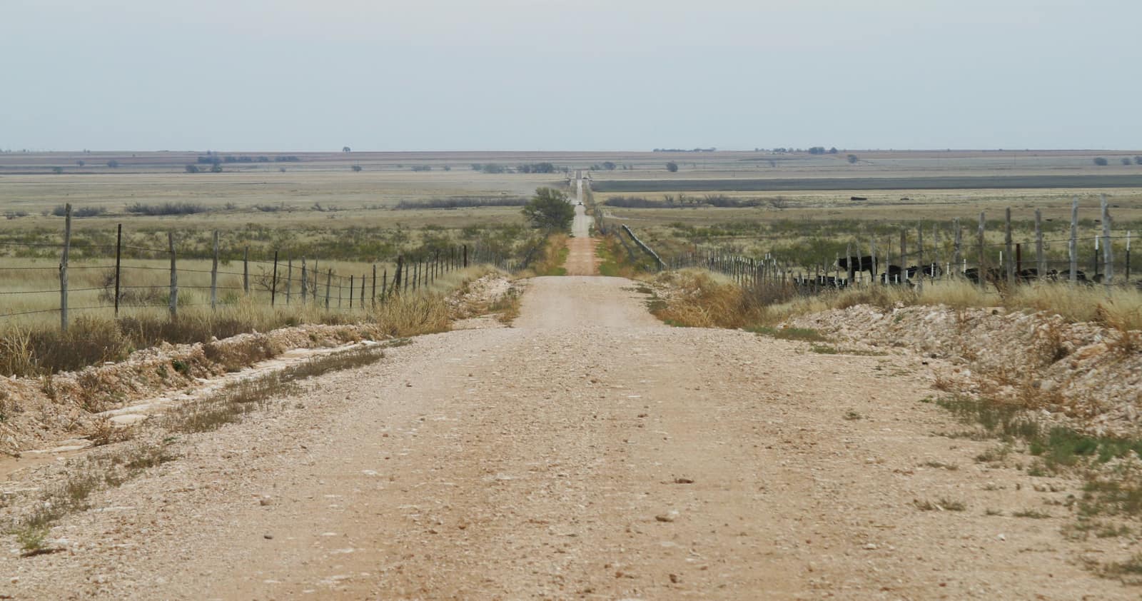 A straight dirt county road running between fence lines to the horizon in Bailey County